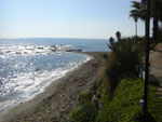 2007-11-08_14-09-21-CIMG2764.jpg