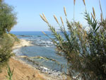 2007-11-08_14-12-47-CIMG2769.jpg