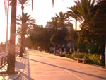 2007-11-08_17-25-22-CIMG2811.jpg