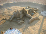 2007-11-08_17-29-42-CIMG2816.jpg
