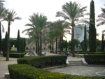 2007-11-09_17-43-48-CIMG2856.jpg