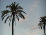 2007-11-09_18-16-54-CIMG2861.jpg