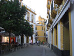 2007-11-09_18-18-20-CIMG2863.jpg