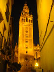2007-11-09_18-51-58-CIMG2876.jpg