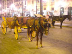 2007-11-09_19-02-41-CIMG2890.jpg