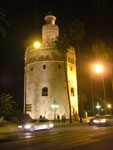 2007-11-09_19-34-45-CIMG2923.jpg
