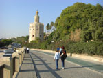 2007-11-10_16-01-58-CIMG2957.jpg
