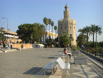 2007-11-10_16-05-45-CIMG2961.jpg
