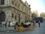 2007-11-10_16-49-15-CIMG2995.jpg