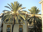 2007-11-10_16-53-20-CIMG3001.jpg