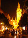 2007-11-10_19-11-20-CIMG3049.jpg