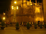 2007-11-10_19-18-06-CIMG3059.jpg