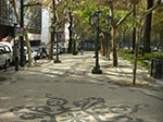 CIMG3282.jpg