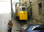 CIMG3291.jpg