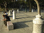 CIMG3389.jpg