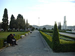 CIMG3878.jpg