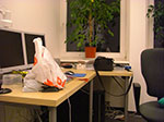 CIMG4165.jpg