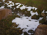 IMGP2325.jpg