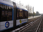 IMGP2335.jpg
