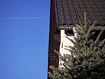 IMGP2395.jpg