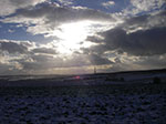 IMGP2398.jpg