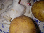 IMGP2424.jpg