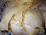 IMGP2460.jpg