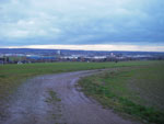 IMGP2499.jpg