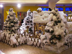 Photos