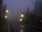 IMGP2531.jpg