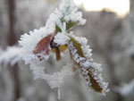 IMGP2758.jpg