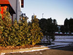 IMGP2835.jpg