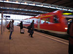 IMGP2937.jpg
