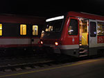 IMGP2942.jpg