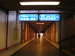 IMGP2944.jpg