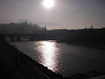 IMGP2957.jpg