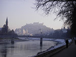 IMGP2964.jpg