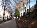 IMGP3061.jpg