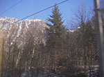 IMGP3064.jpg