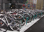 IMGP3084.jpg