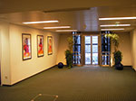 IMGP3102.jpg