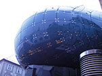 IMGP3116.jpg