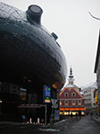 IMGP3121.jpg