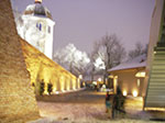 IMGP3199.jpg