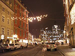 IMGP3217.jpg