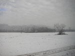 IMGP3242.jpg
