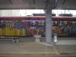 IMGP3243.jpg