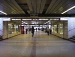IMGP3251.jpg
