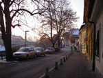 IMGP3263.jpg