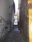 IMGP3264.jpg